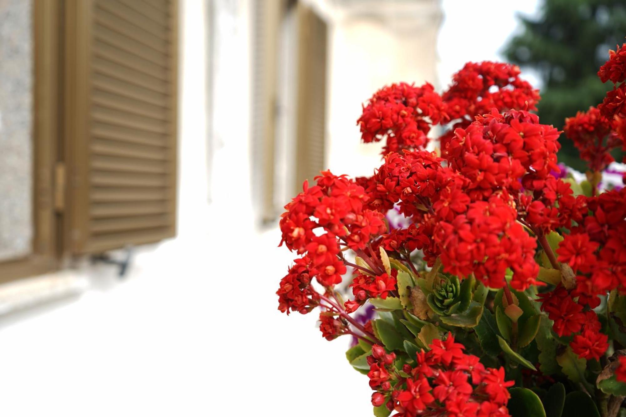 Apartamento Ostuni Dream House Exterior foto